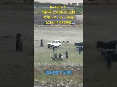 No.436より 高田橋上流側&下流側 時短ショート一気見 2026.4.409:30時