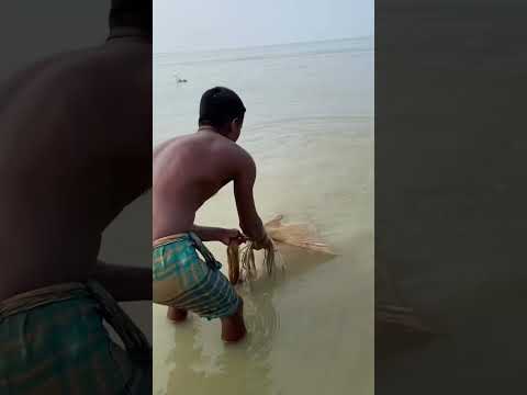 #fishingvideo