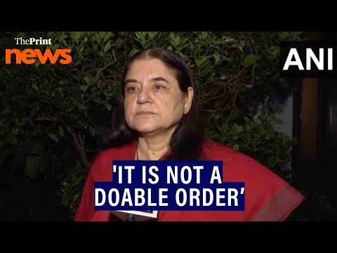'It is not a doable order,' says BJP leader Maneka on SC order on stray dogs in Delhi-NCR