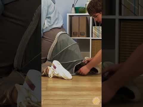 UNGEWÖHNLICHE Hosen für Katzenliebhaber