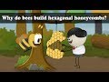 Understanding Honeycomb Structure