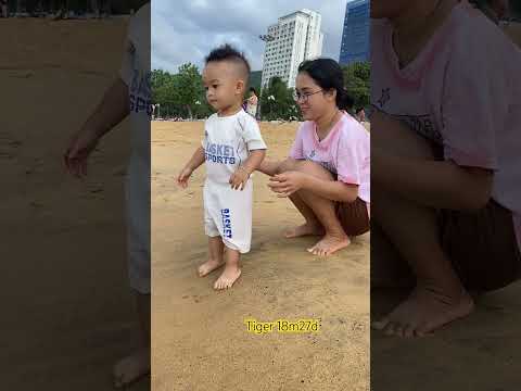 Tiger ở biển Qui Nhơn| Tiger 18m27d