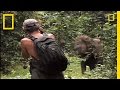 Understanding Elephant Behavior and Safety