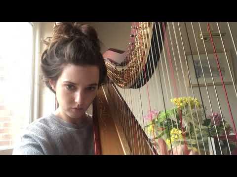 A Dream Is a Wish Your Heart Makes