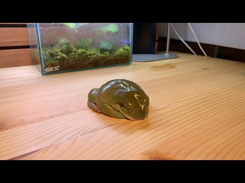 【期間限定公開】つけものいし寝てる【メンバーシップ限定】