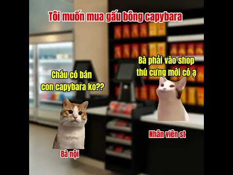 Khi tôi bảo bà tôi thích mua gấu bông capybara #meme #cat #pets