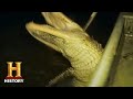 Gator Hunting in Mississippi