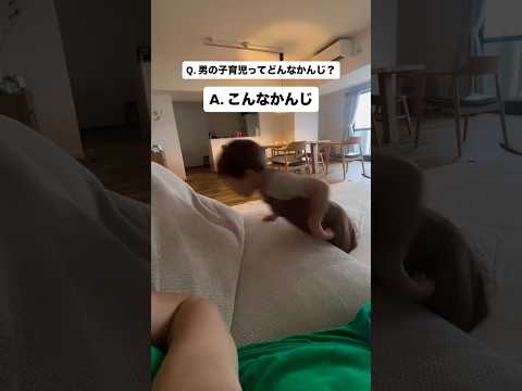 🤷♀️🤷♀️🤷♀️ #子育て #男の子ママ