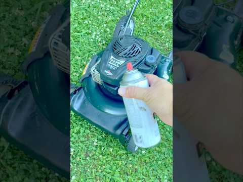 Paint Or No Paint. #shorts #mower #bolens