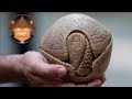Armadillo Facts and Trivia