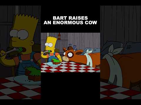 Bart raises an enormous cow