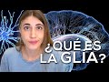 Cuestionario sobre Células Gliales