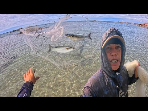 PESCANDO SAUNA COM TARRAFA NO MEIO DAS PEDRAS ( DIEGO PESCADOR AMADOR)