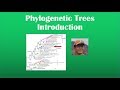 Phylogenetic Grouping Concepts