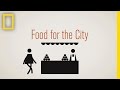 Farmers Markets and Local Food Trends