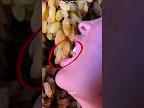 The Process Of Converting Graphs Into Raisins🥶