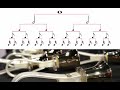 Understanding Note Durations