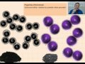 Properties and Behavior of Non-Metals