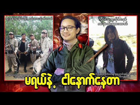 မရီကြနဲ့ကွာ  ငါနောက်နေတာ...;D
