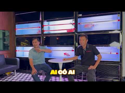 Cuộc thi cá rồng qua ảnh và clip do cá cảnh hồng anh tổ chức