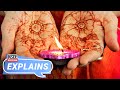 Understanding Diwali: The Festival of Lights