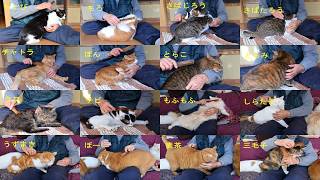 動画サムネイル