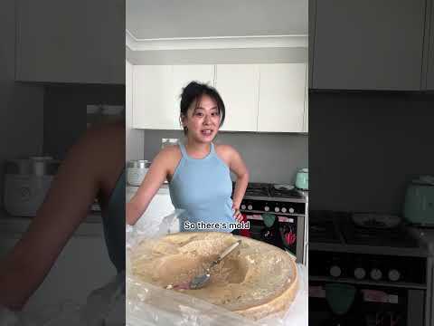 Help me! What should I do? #cheesewheel