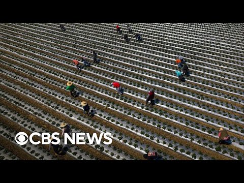 YouTube video thumbnail: Which Industries Will be hit Hardest by Deportations?