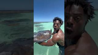 SWIMMING WITH STINGRAYS IN ANTIGUA! 🇦🇬