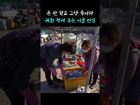 옆집에 청어 공짜로 주는 시골 <strong>인심</strong> #shorts