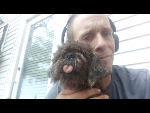 🙏 PRAY FOR US 🙏~ TheMorgile Live Update *For the Family*