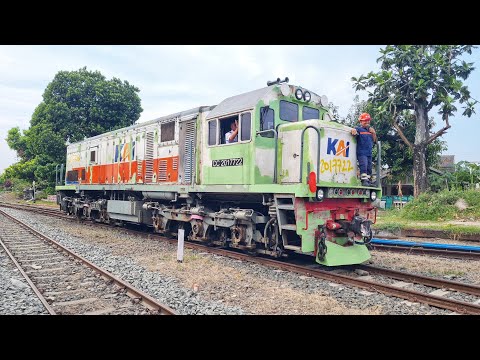 TIDAK SENGAJA NEMU LOKOMOTIF TOMPEL HIJAU SAAT JALAN JALAN !