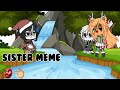 Video Tutorial Quiz
