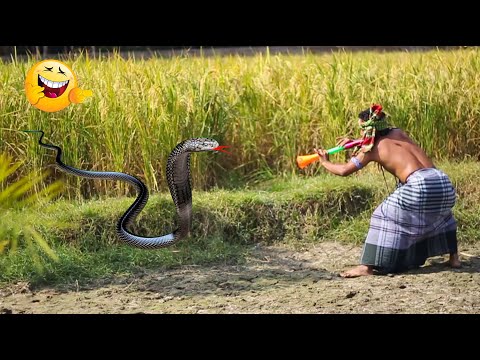 Sapuria new funny video | Must Watch New Special Comedy Video 2024