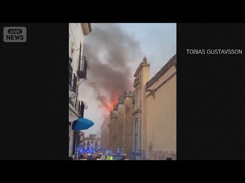 経済金融の動画サムネイル - スペイン・コルドバの世界遺産「メスキータ」で火災　礼拝堂の一つ燃える(2025年8月9日)
