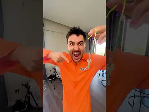 CRAZY CAT 😂 #shorts