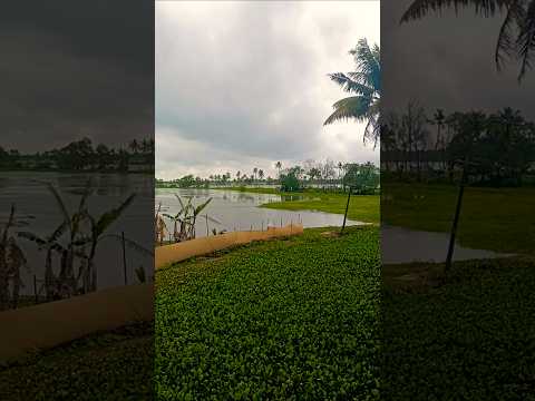 സിന്ദൂരസന്ധ്യേ പറയൂ നീ ❤ #Kjyesudas #mohansithara #yoosafalikechery