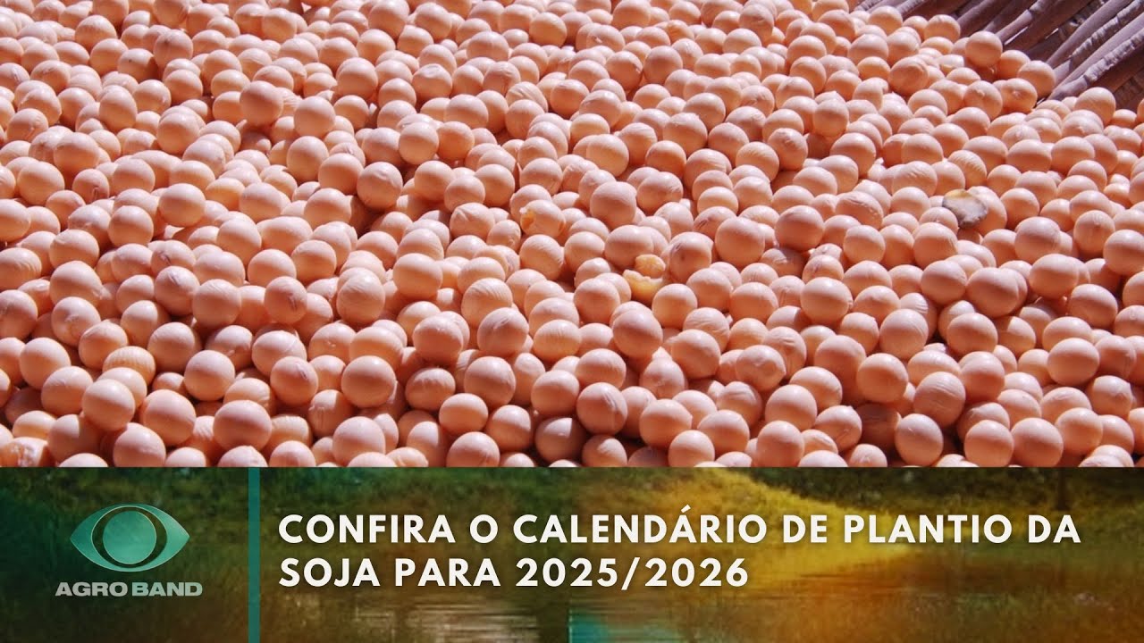 Confira o calendário de plantio da soja para 20252026