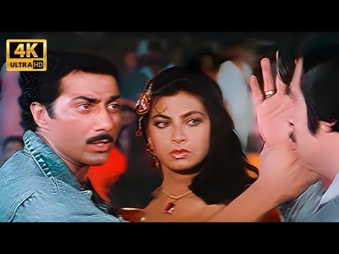 सनी देओल और अनिल कपूर ने बचाई बहन की इज्जत को लूटने से | Inteqam | Sunny Deol | Action Scenes