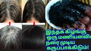 ஒரு கிழங்கு ஒரு மணி நேரத்துல நரைமுடி மொத்தத்தையும் நிரந்தரமா கருப்பாக்கிடும்! grey hair remedy