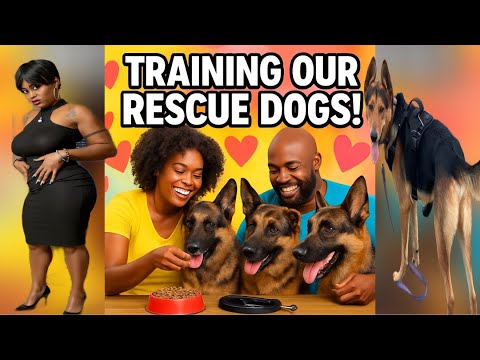 Training Rescue German Shepherds: Mastering the 'Down' Command with Love and Patience