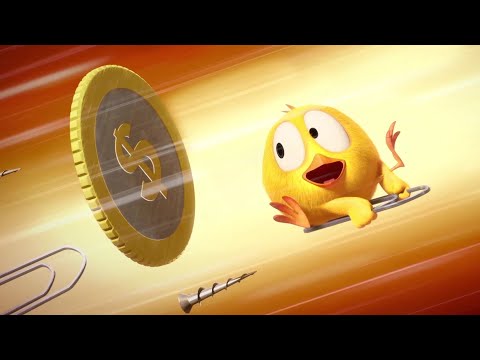 Watch out Chicky! | Where's Chicky? | Cartoon Collection in English for Kids | New episodes HD