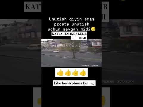 DARAXTGA URULDIMI 😮😲😪#UZB #AUTOMOBILE #ZORTV #AVTOSH #REK #VIRAL #YOUTUBE#SHORTS FLOW #REK #SHORTS
