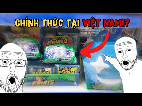 ĐỒ CHƠI BLOX FRUITS ĐÃ THỰC SỰ XUẤT HIỆN Ở VIỆT NAM!!!