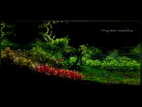 Huge Aquascape Tutorial Step by Step- Spontaneity  The Art of Aquascaping Book now is available to download- https_//www.thegreenmachineonline.com/aqua