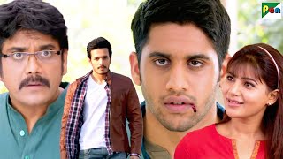 पुनर्जन्म मे ये परिवार की तीन पीढ़ियां एक-दूसरे से जुड़ी हुई - Nagarjuna, Samantha, Naga C | Dayaalu