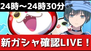 「ぷにぷに」ふぶき姫超アップほぼ確＆雑談周回LIVE！【Vtuber】