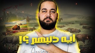 ليه لازم نهتم بالحيوانات ؟