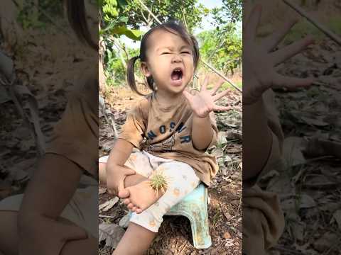 Survival Skills: SMART idea and USEFUL in forest #bushcraft #camping #outdoors #survival