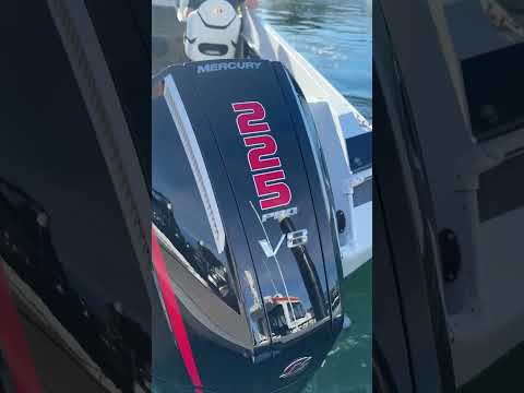 Mercury V8 PRO XS is the only engine to consider for performance, fuel efficiency and that V8 note